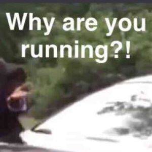 Meet your Posher, Caleb